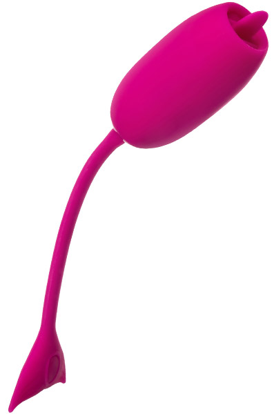 Cal Exotics Rechargeable Kegel Teaser Vibrerande ägg |  | Intimast