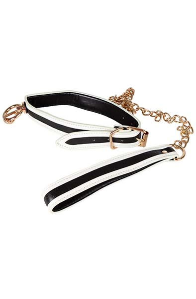 Produktfoto för Glow-in-the-Dark Halsband med Koppel - Vit/Svart/Guld