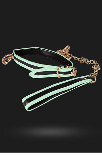 Alternativ bild 1 för Glow-in-the-Dark Halsband med Koppel - Vit/Svart/Guld