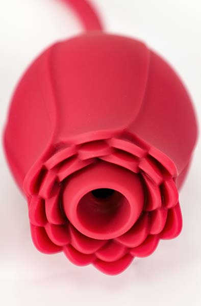 Alternativ bild 1 för RED ROSE SUCTION + VIBRATING BULLET