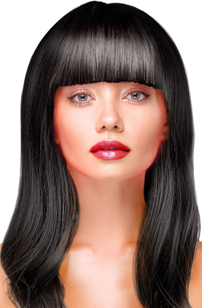 Party Wig Long Straight Black Hair Peruk