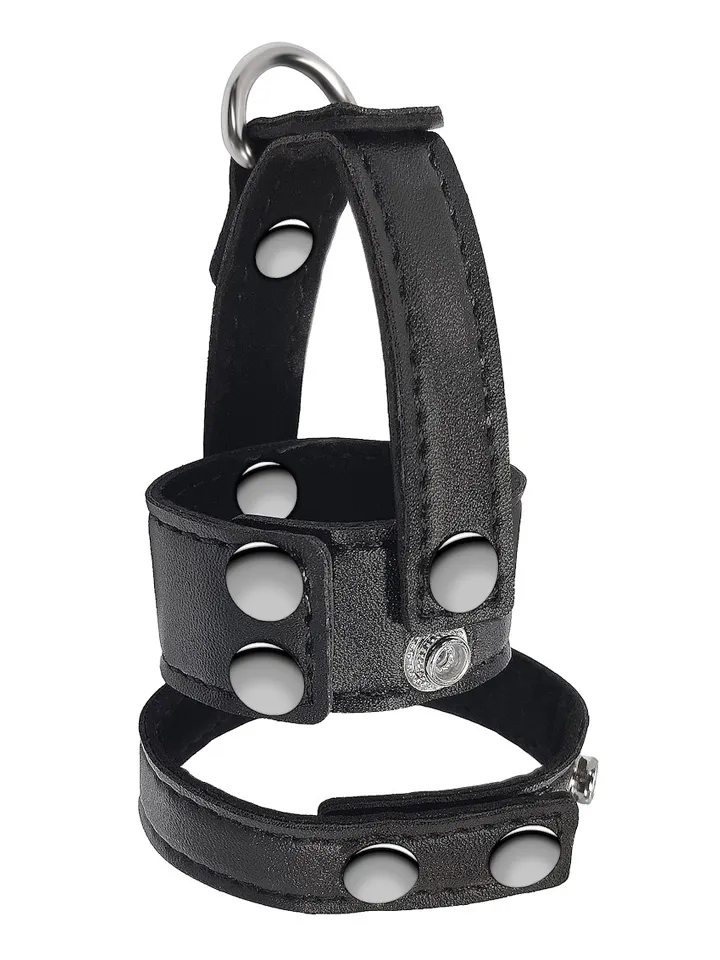 Wild Play Cock & Ball Strap Penis & pungring |  | Intimast