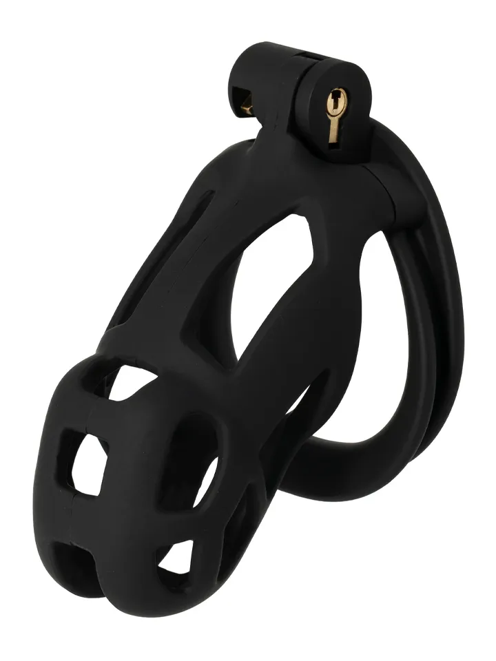 Penis Prison Cock Cage Regular Kyskhetsbur |  | Intimast