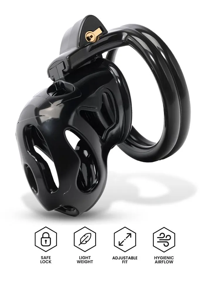 Picture of the product